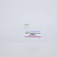 兔抗MBP（maltose binding protein)多克隆抗体C1825