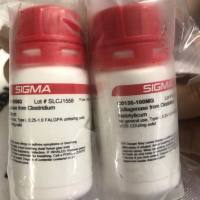 现货Sigma货号C0130胶原酶I(Type I)上海睿安生物13611631389