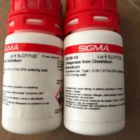 现货Sigma货号C0130-1g胶原酶I(Type I)上海睿安生物13611631389