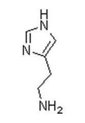 组胺抗体与组胺全抗原 组胺单抗与组胺人工全抗原 鼠抗组胺单克