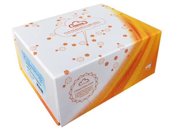 精氨酸/丝氨酸丰富剪接因子1(SRSF1)重组蛋白