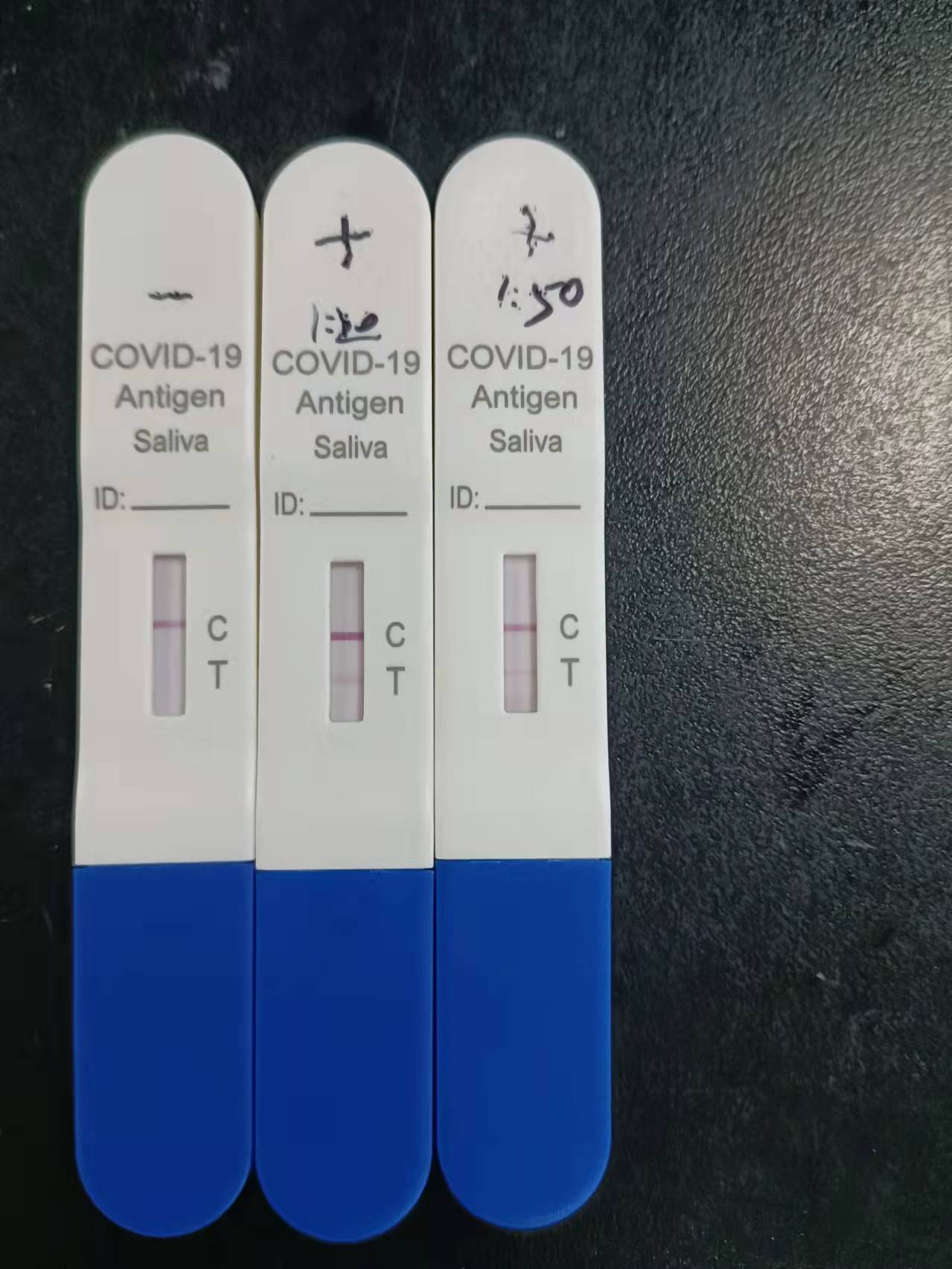 鼠抗新冠病毒配对单克隆抗体研发成功