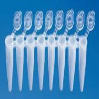 BRAND 普兰德八联PCR管 连联盖,PP材质