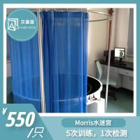 Morris水迷宫 小鼠水迷宫 小动物行为学实验