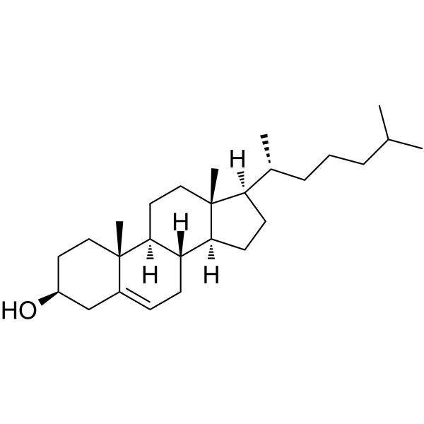 胆固醇 (Cholesterol) 是哺乳动物中主要的甾体类