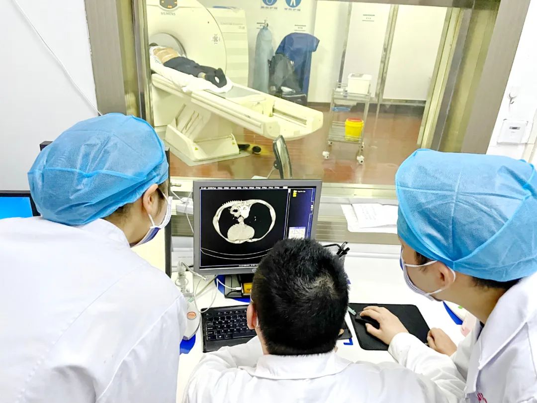 反复咳嗽咳痰，CT 引导下经皮肺穿刺活检术精准找出「元凶」