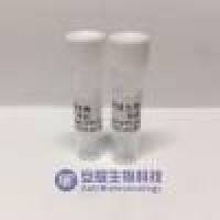 灭蝇胺抗体 灭蝇胺单抗 灭蝇胺单克隆抗体 Cyr抗体 Cyromazine antibody