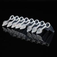 0.1ml0.2mlPCR连盖八联管透明无酶无热原