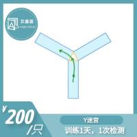 Y迷宫实验 小鼠行为学实验