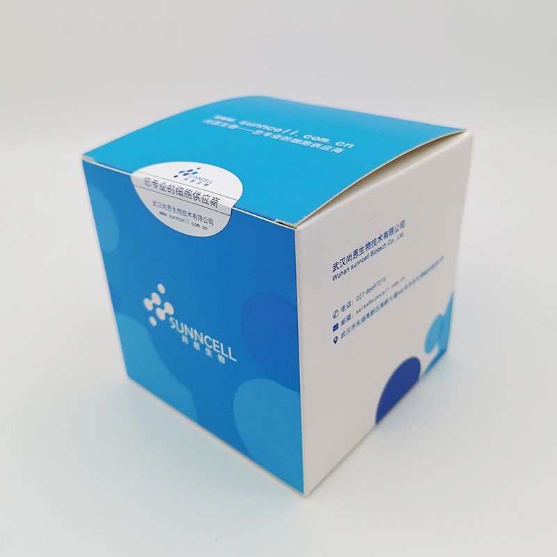 支原體PCR檢測試劑盒（巢式PCR）