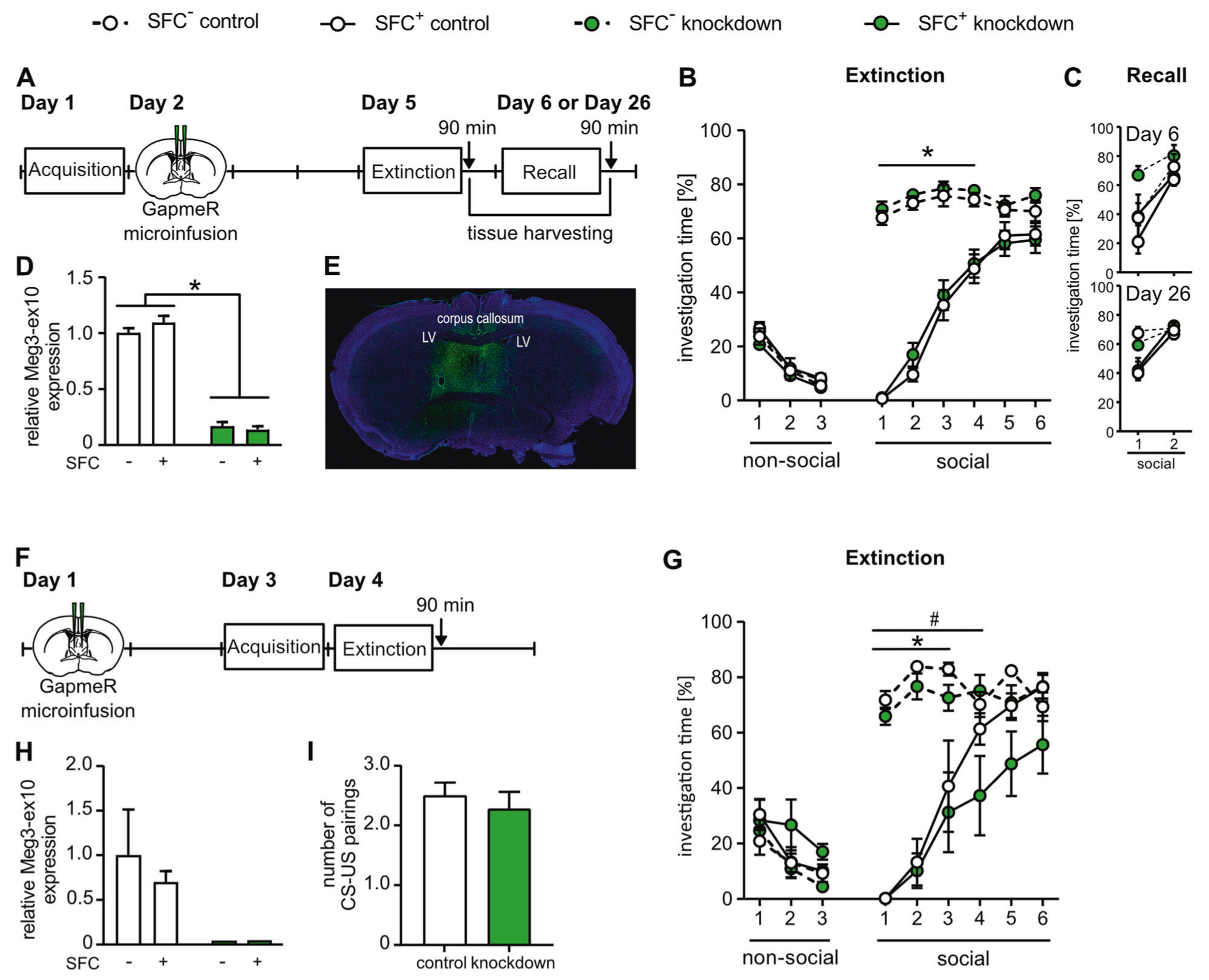 lncRNA新研究进展盘点（20220402）