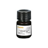 D-萤火虫荧光素游离酸活体成像试剂