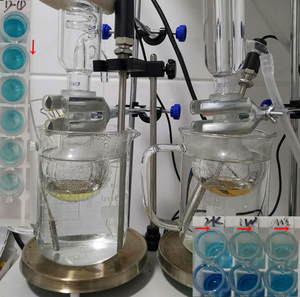    小分子半抗原改造及偶联全抗原服务提升