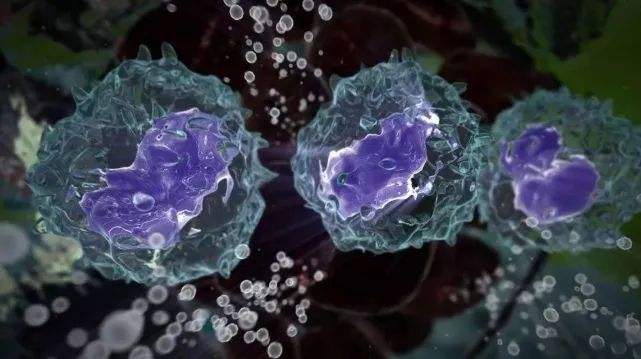 美狄洛斯®凯莫瑞(视黄酸受体应答蛋白2)检测试剂盒(酶联免