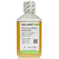 CELLiGENT 优级胎牛血清 CG1126B