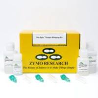 ZYMO现货 His-Spin Protein Miniprep