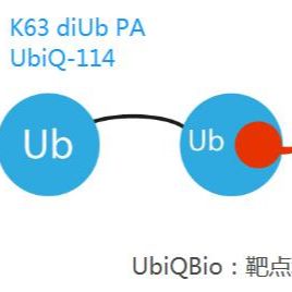 Ubiqbio代理泛素化肽K63 diUb PA货号UbiQ-114