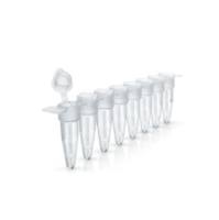 MicroAmp™ Optical 8-Tube Strip with attached