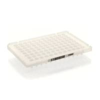 MicroAmp Fast Optical 96-Well Reaction Plate, 0.1