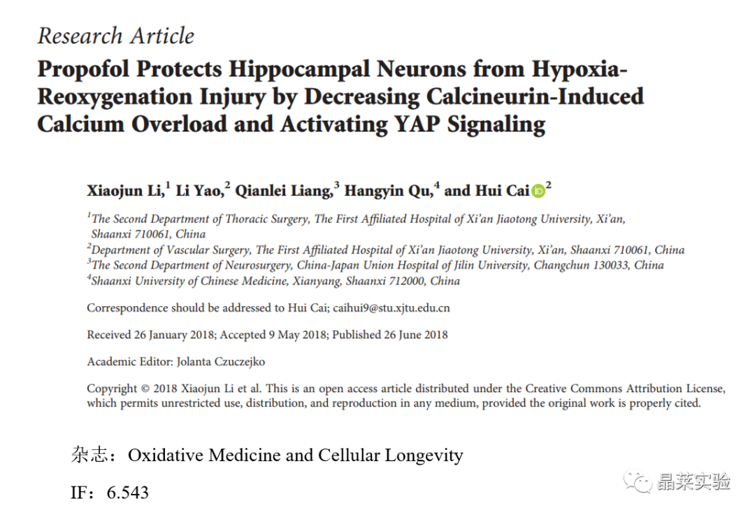 热点通路研究文献之“异丙酚通过降低钙调神经磷酸酶诱导的钙过载和激活YAP信号来保护海马神经元免受低再氧损伤”