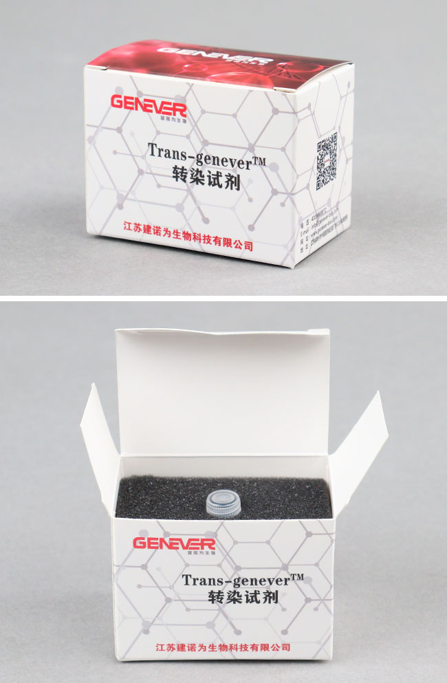 Trans-genever™转染试剂（DNA质粒转染适用）