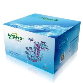 Plastic gel 预制胶 Bis-Tris  10%, 10孔, 1.0mm