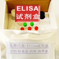 小鼠48孔免疫球蛋白EELISA实验
