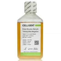 CELLiGENT 四环素阴性胎牛血清 CG1160A