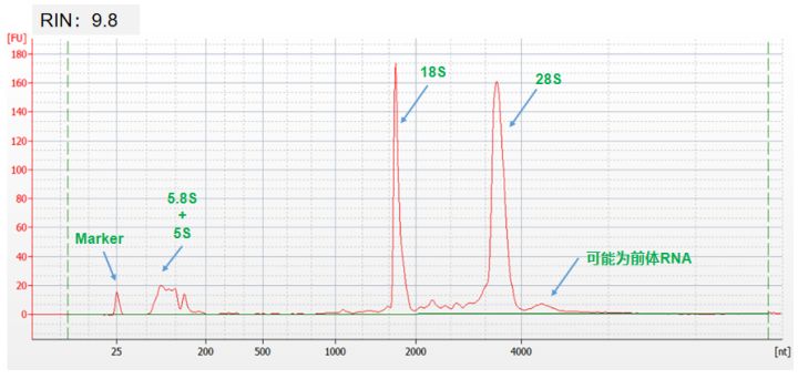 如何确认RNA的质量?