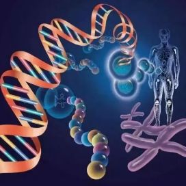 pBlueScriptR-GPRC5B质粒