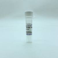 LabFect PM RNAi Transfection   原代细胞小核酸转染试剂