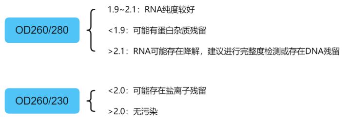 如何确认RNA的质量?