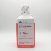 RPMI 1640 培养基(Medium)