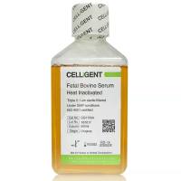 CELLiGENT 热灭活胎牛血清 CG1150A