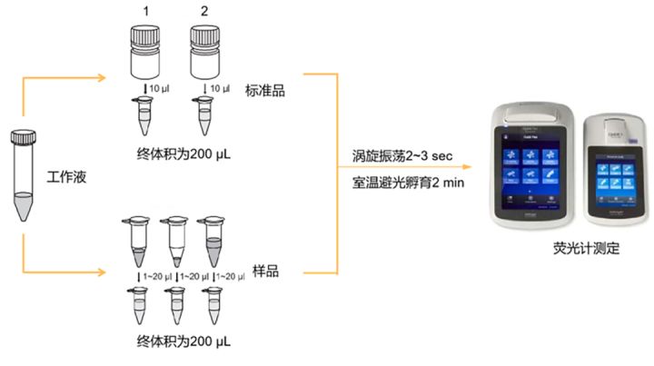 如何确认RNA的质量?