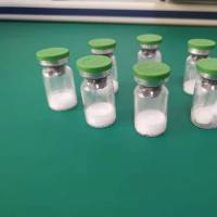 非洲猪瘟抗体 非洲猪瘟单抗 非洲猪瘟单克隆抗体