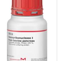 脱氧核糖核酸酶|来源于牛胰腺 100mg/瓶