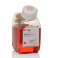 改良的 IMEM（改进的最低必需培养基），含 L-谷氨酰胺，不含硫酸庆大霉素A1048901 A1049101现货特价