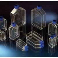 带过滤盖的NunclonTM△培养瓶，聚苯乙烯，已灭菌，培养面积175cm2