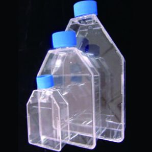 LabServ 75cm2 Flask, Plug Seal Cap,sterile,5/100细胞培养瓶，75cm2, 密封盖，灭菌，5/包，100/箱