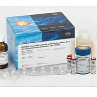 人白细胞介素-2(hlL-2) 50000units