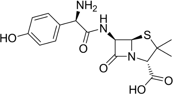解读阿莫西林是什么神奇药