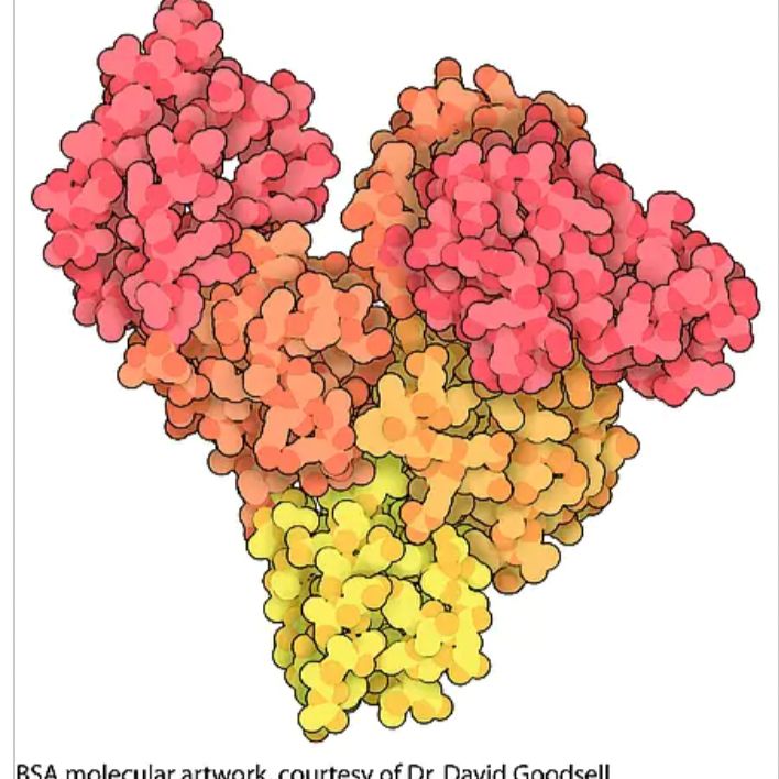 BSA, 牛血清白蛋白 5G/瓶(热销)