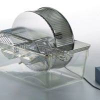 小动物旋转活动轮，小动物自主活动跑轮，小动物转轮仪