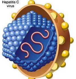  美狄洛斯®甲型肝炎病毒抗体IgM检测试剂盒（酶联免疫法）