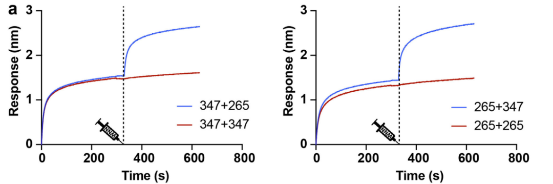 5篇CNS | Octet®第一季度国内研究成果鉴赏