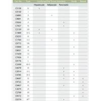 胶原酶,来源于溶组织梭菌 1G/瓶