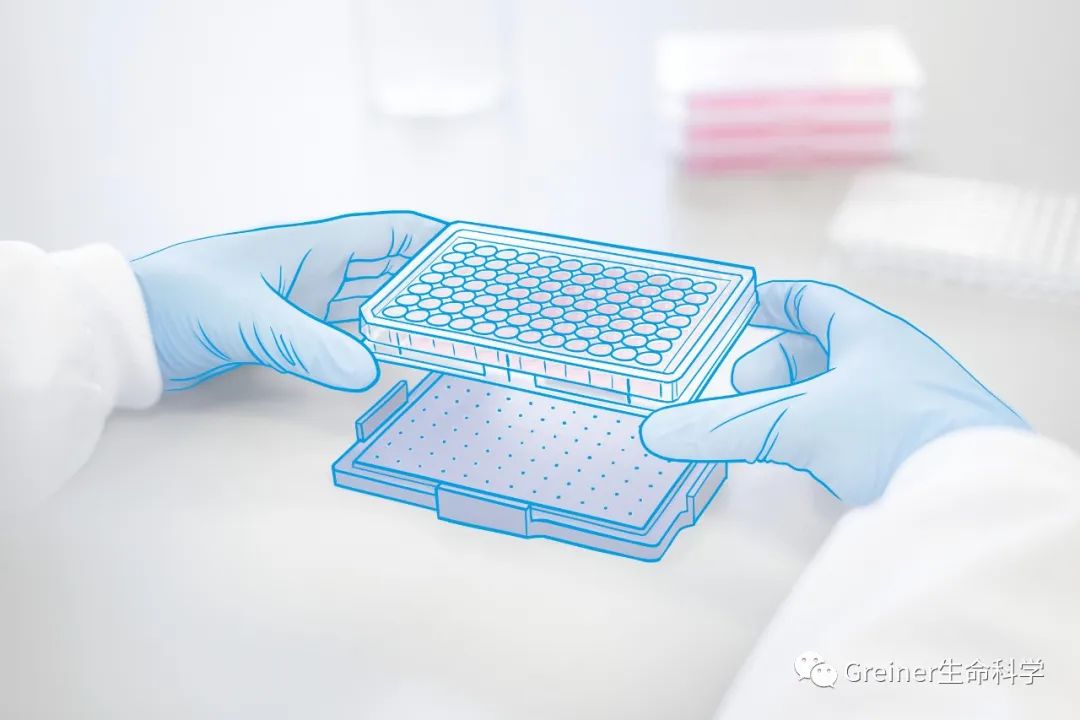 3D 细胞培养弄潮儿是你吗？