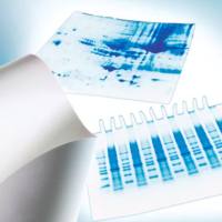 Immobilon-P PVDF 膜,0.45 um,26.5cmx3.75m（热销）