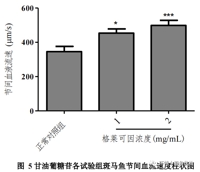 新闻图片12